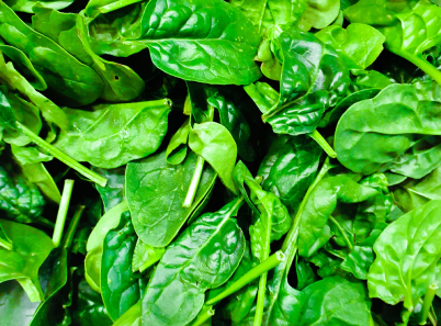 spinach